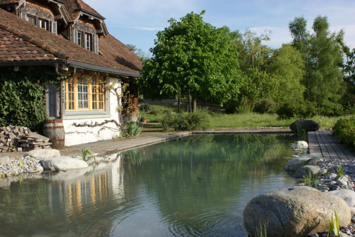 Schwimmteich Umbau 